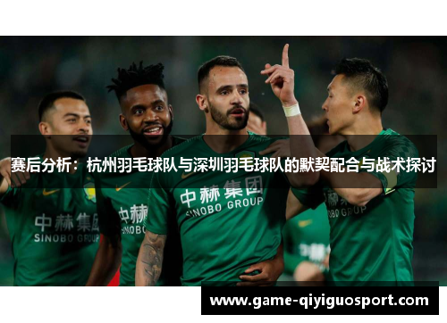 赛后分析：杭州羽毛球队与深圳羽毛球队的默契配合与战术探讨