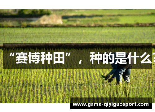 “赛博种田”，种的是什么？